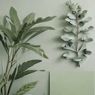 sage green aesthetic