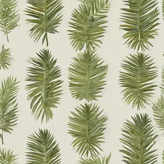 palm tree leaf png