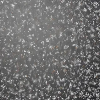 snow overlay png