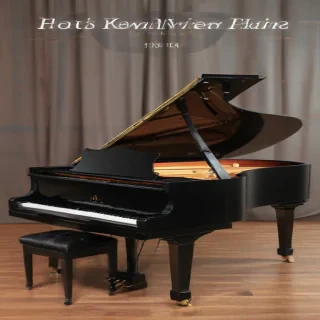 fur elise piano