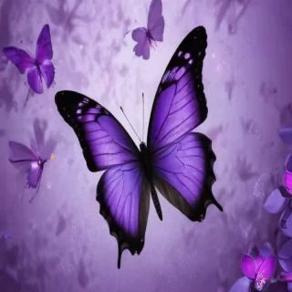 purple butterfly background