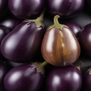 eggplant png