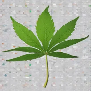 weed leaf png