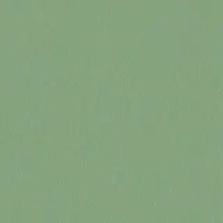 sage green wallpaper iphone