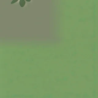 sage green wallpaper iphone