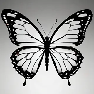 butterfly png outline