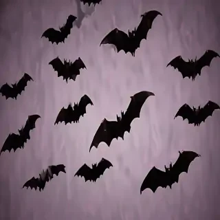 halloween bats images