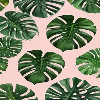 monstera background