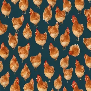 chicken background