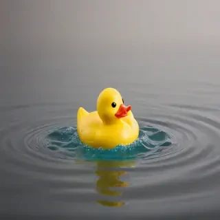 rubber duck png