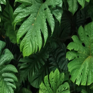 greenery iphone background