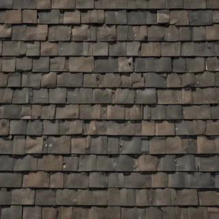 shingles images