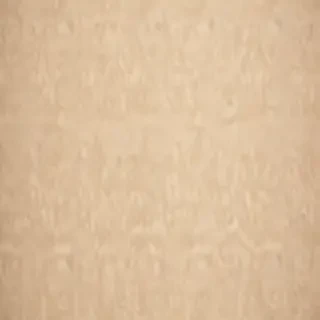 beige backgrounds