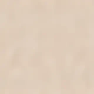neutral computer background