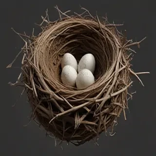 birds nest png