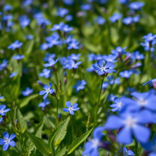 A vibrant field of blue flowers with lush green foliage, captured with a Canon EOS R5 camera at f/2.8, ISO 100, 50mm lens, natural soft lighting, with a shallow depth of field to enhance the details of the blossoms and leaves.