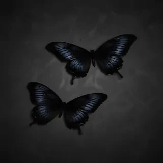 black wallpaper butterfly
