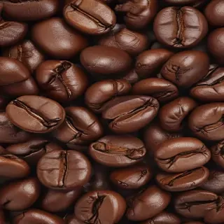coffee bean png