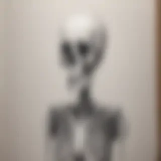 creative skeleton drawings
