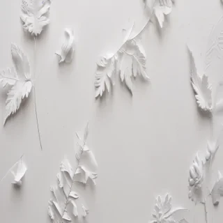 minimalist white aesthetic wallpaper