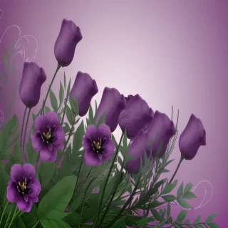 purple flowers background