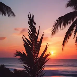 summer background iphone
