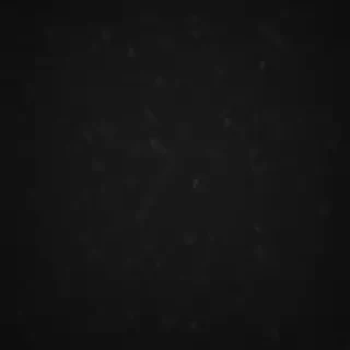 black wallpaper for phone