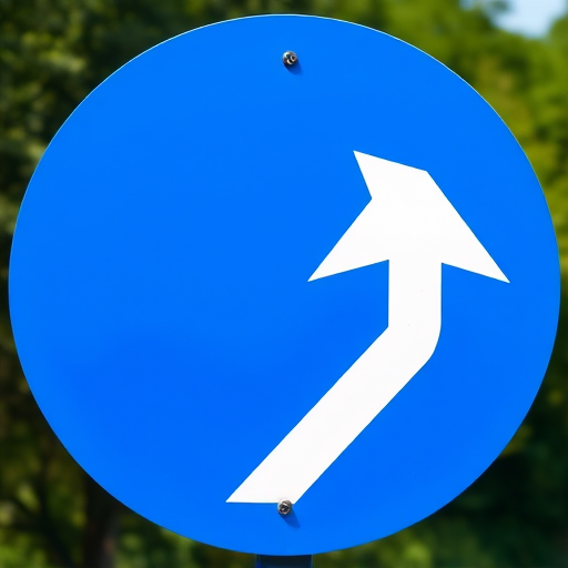 A vibrant blue circular road sign with a large white arrow pointing diagonally downwards to the right, captured with a DSLR camera at f/11 aperture, ISO 100, 1/250 shutter speed, with a wide-angle lens for a clear view and enhanced detail.