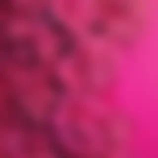 hot pink iphone wallpaper