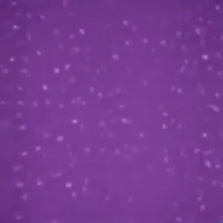 purple screen wallpaper
