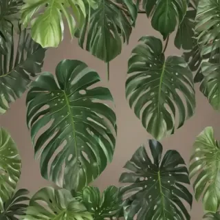 monstera png