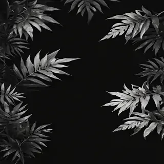 black bg aesthetic