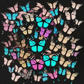 butterfly transparent png
