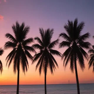 palm tree background