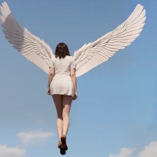 wings.png