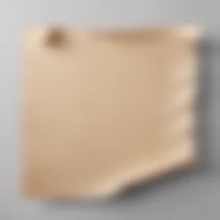 aesthetic ripped paper png