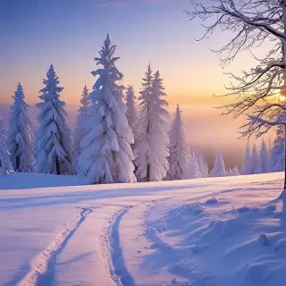 winter wonderland wallpapers