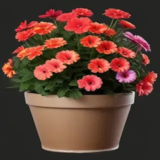 flower pot png