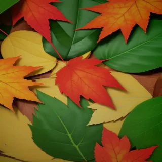 leaves no background