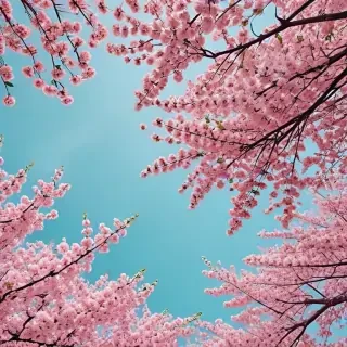 aesthetic spring wallpapers