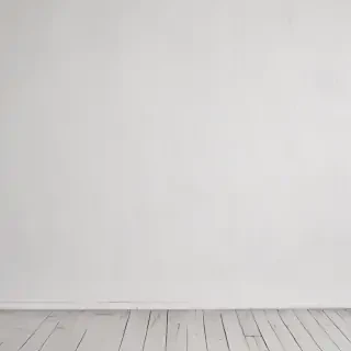 background white wall