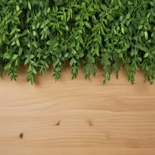 greenery border