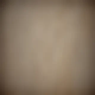 canvas texture overlay