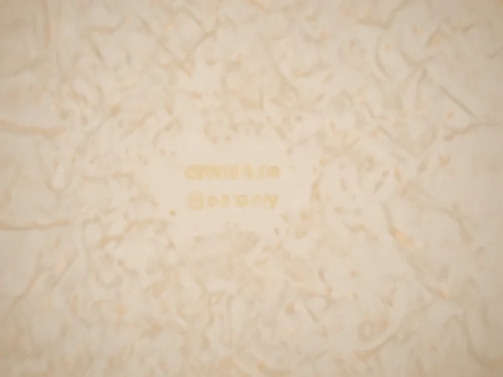 cream aesthetic wallpaper