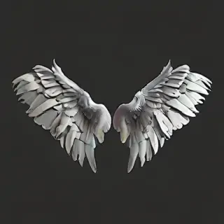 angle wings png