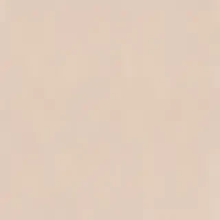 neutral aesthetic background