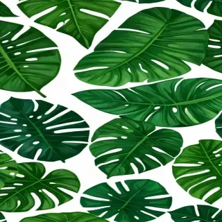 tropical leaf png