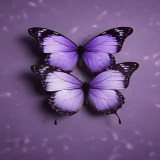 aesthetic purple butterfly