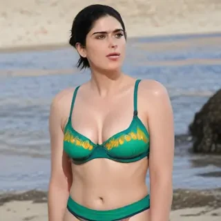 sarah silverman bikini