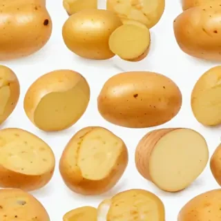 potato transparent background
